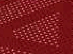 Rot