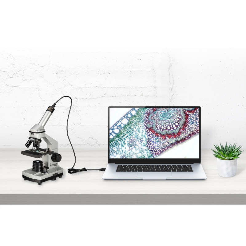 LP Mikroskop angeschlossen am Laptop Das Bild zeigt ein Mikroskop, welches ein Bild der Probe auf ein Laptop überträgt.